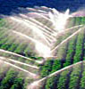 Agriculture and Turf Irrigation 
