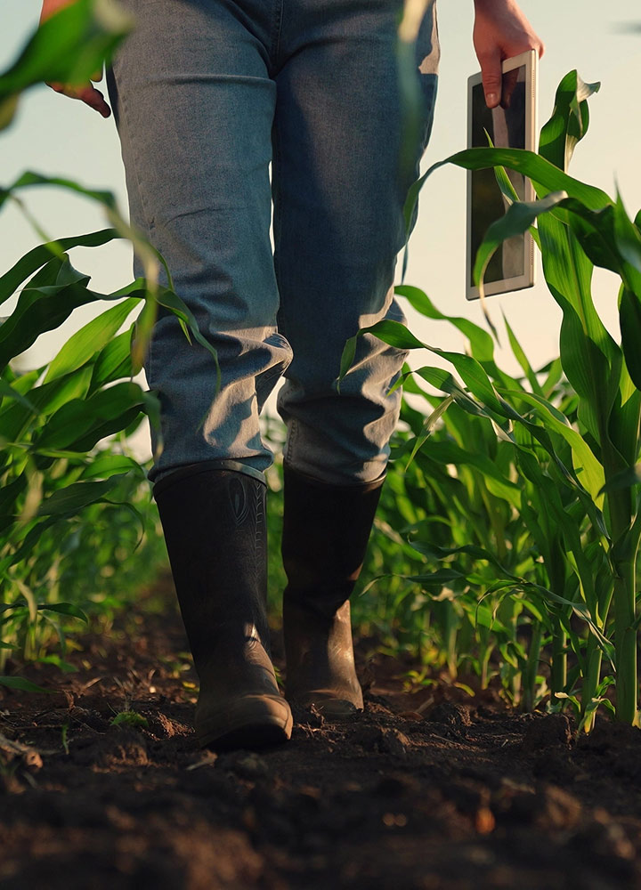 Agriculture and Irrigation Series